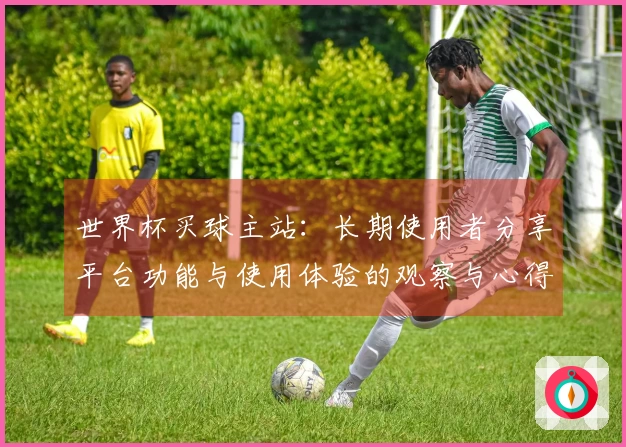 世界杯买球主站：长期使用者分享平台功能与使用体验的观察与心得