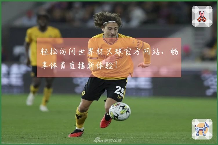 轻松访问世界杯买球官方网站，畅享体育直播新体验！