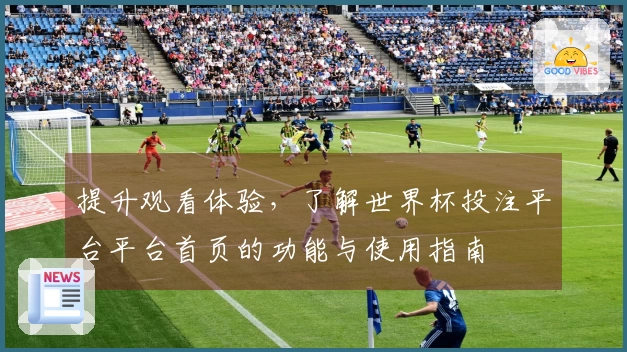 提升观看体验，了解世界杯投注平台平台首页的功能与使用指南