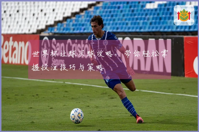 世界杯让球买球攻略，带你轻松掌握投注技巧与策略