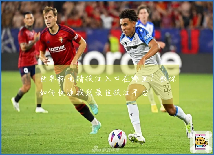世界杯竞猜投注入口在哪里？教你如何快速找到最佳投注平台