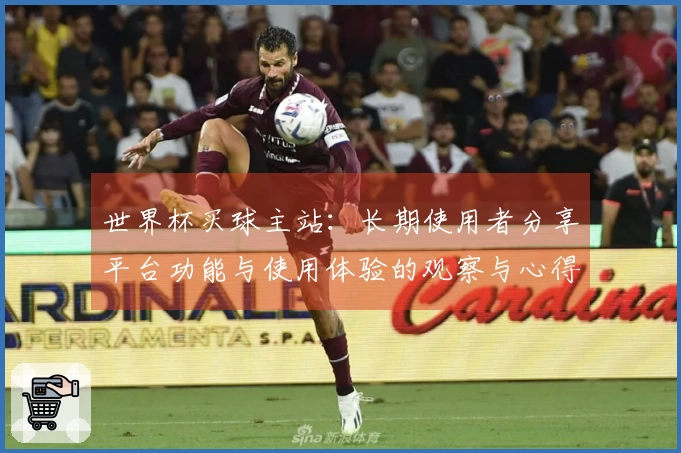 世界杯买球主站：长期使用者分享平台功能与使用体验的观察与心得