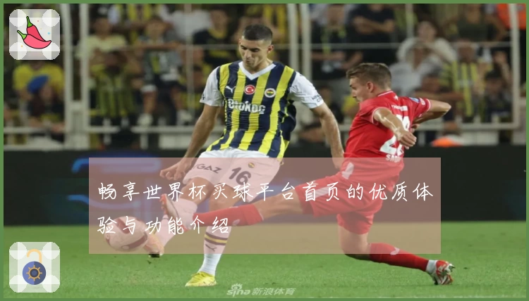 畅享世界杯买球平台首页的优质体验与功能介绍