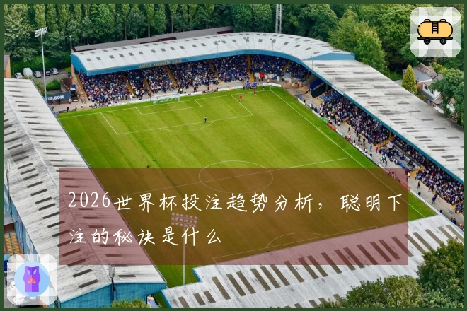 2026世界杯投注趋势分析，聪明下注的秘诀是什么
