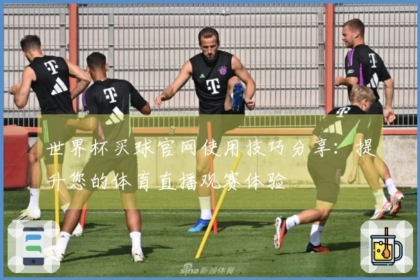 世界杯买球官网使用技巧分享：提升您的体育直播观赛体验