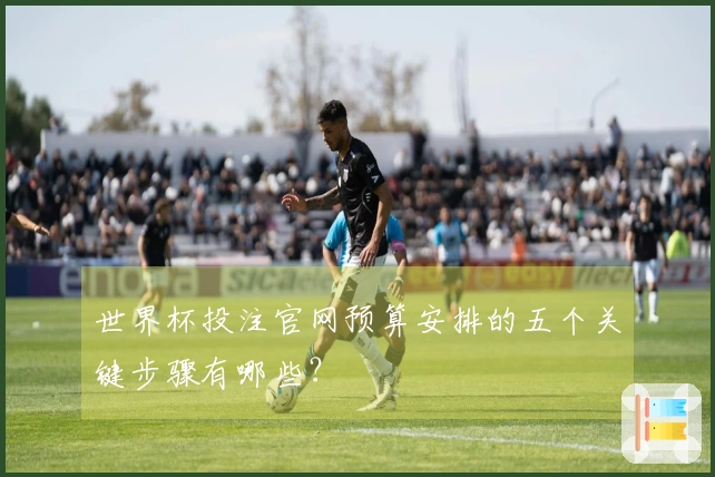 世界杯投注官网预算安排的五个关键步骤有哪些？