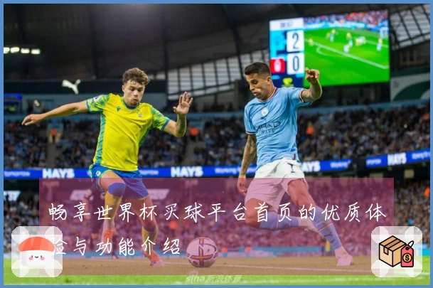 畅享世界杯买球平台首页的优质体验与功能介绍