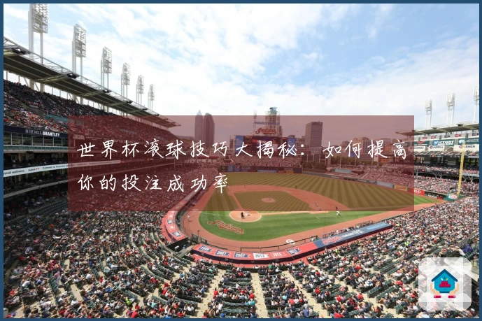 世界杯滚球技巧大揭秘：如何提高你的投注成功率